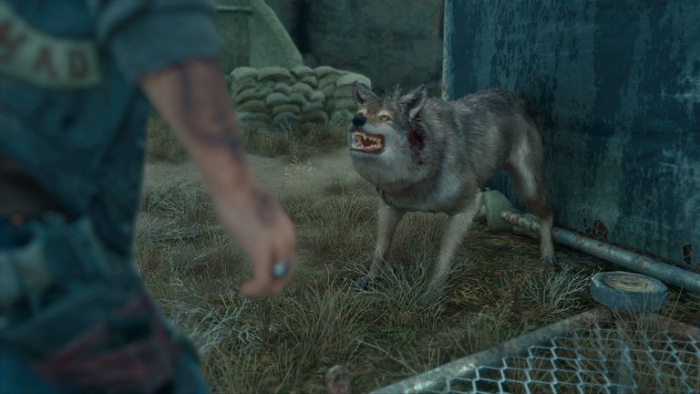 Screenshot_6.jpg