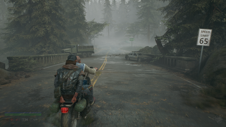 DaysGone (39).png