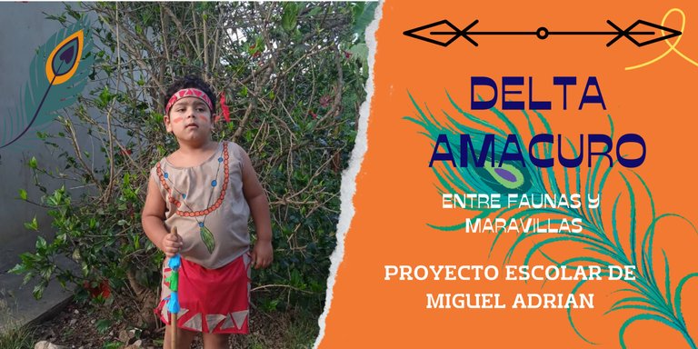 _delta amacuro.png