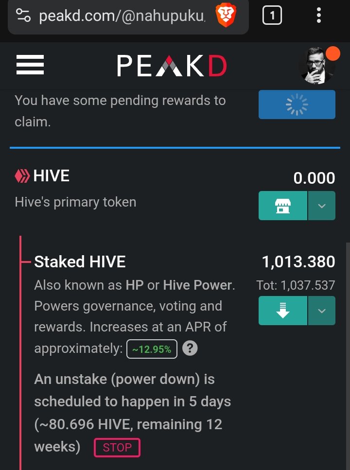 1000259732.jpg