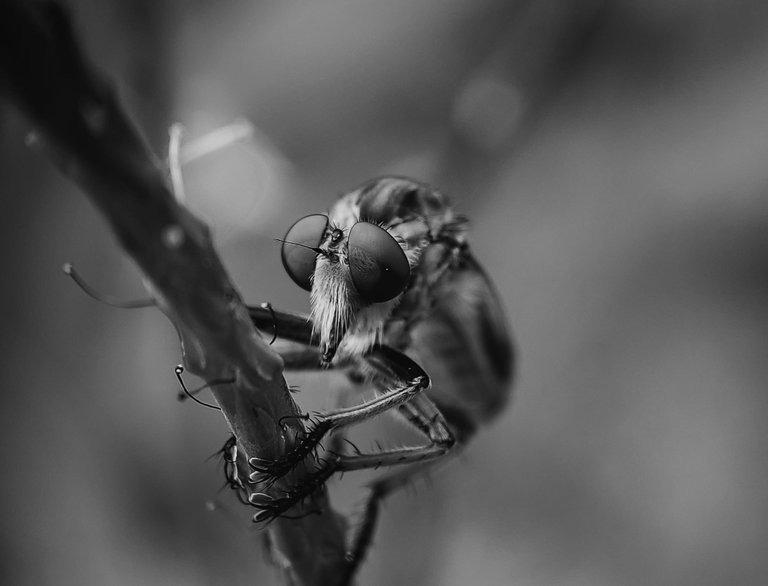 IMG_20250713_172722 (1).jpg