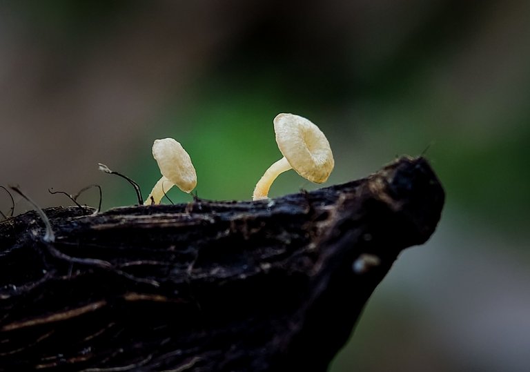 IMG_20250518_121615.jpg