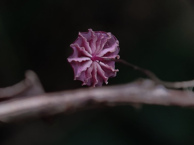 1701611586374.jpg
