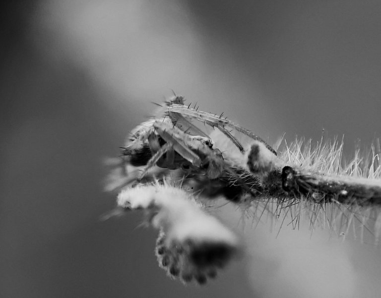 IMG_20250629_172915 (1).jpg