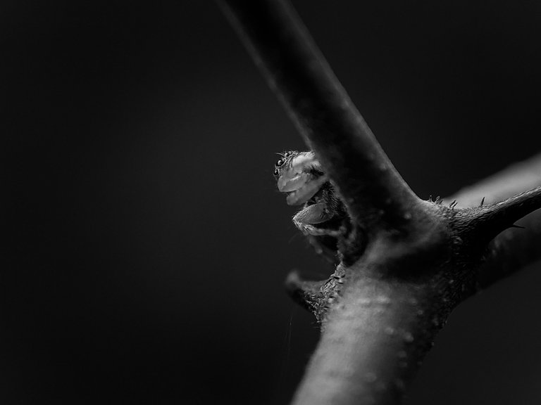 IMG_20250810_172205 (1).jpg