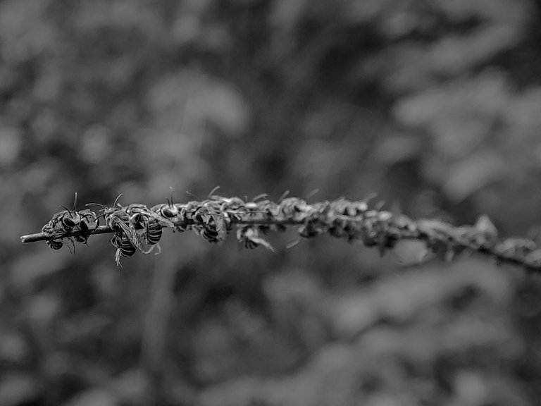 IMG_20250629_173203_1.jpg