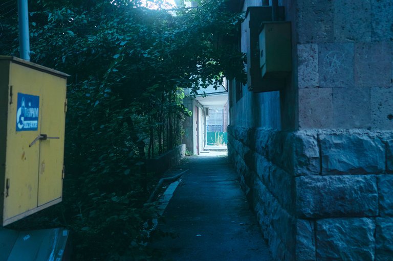 DSC09284.jpg
