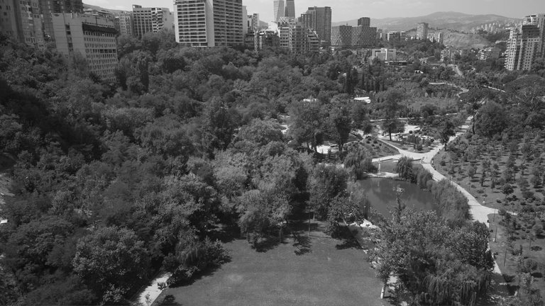 DJI_0203 1.jpg