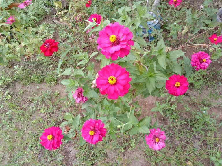IMG_20250331_181623.jpg