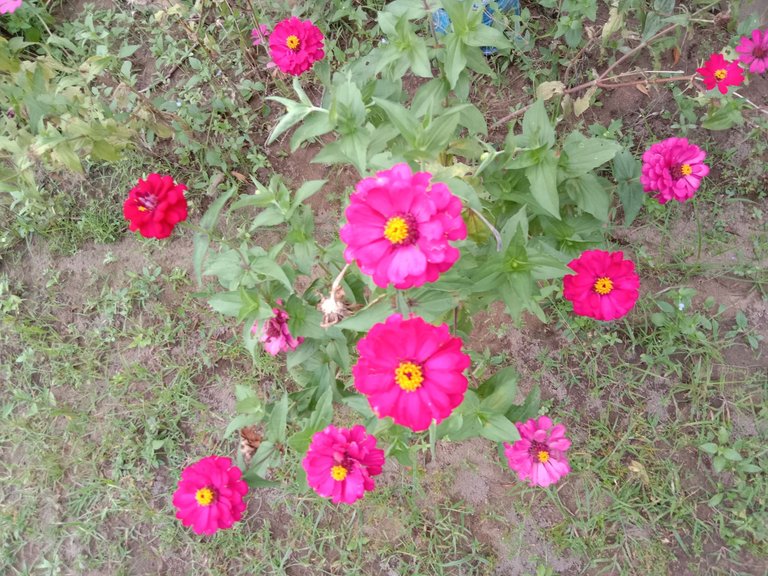 IMG_20250331_181633.jpg