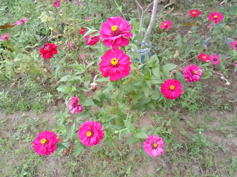 IMG_20250331_181620.jpg