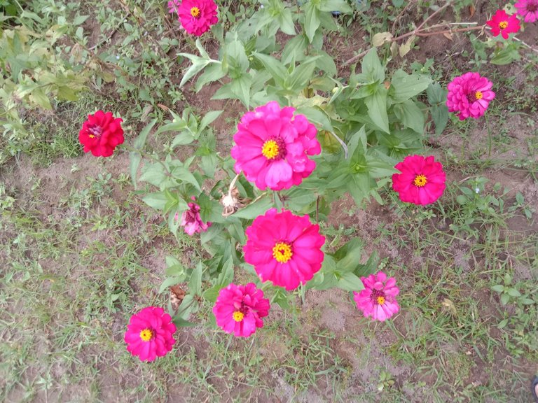 IMG_20250331_181635.jpg