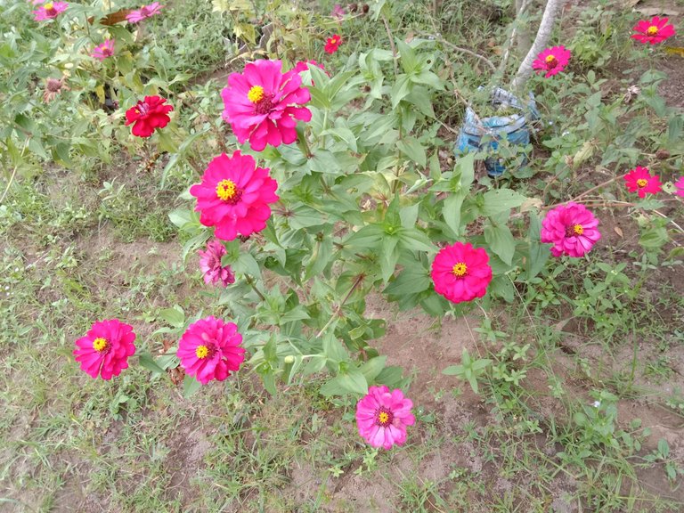 IMG_20250331_181617.jpg