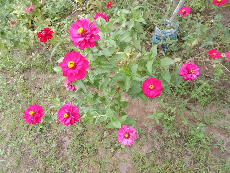 IMG_20250331_181615.jpg