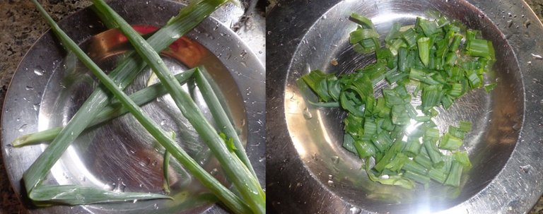 muchacho redondo, yuca y ensalada de lechuga, tomate y cebolla6.jpg