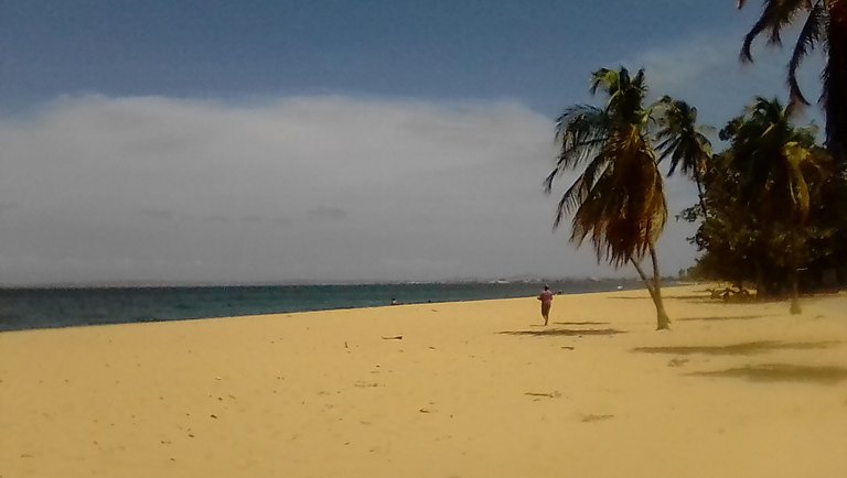 IMG_20210321_112603.jpg