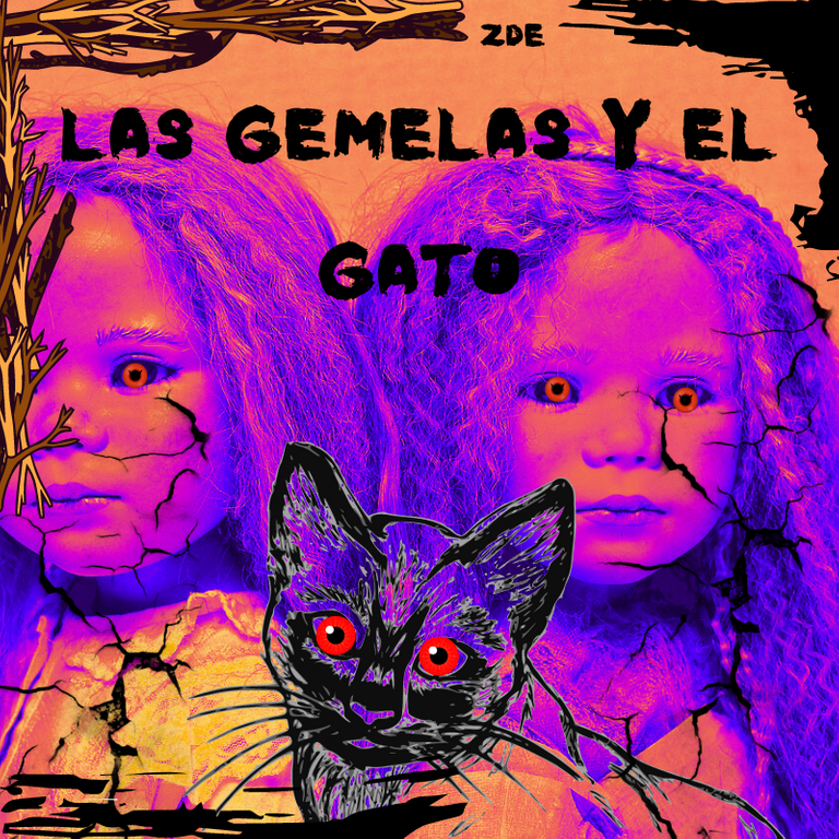 La gemela y el gato.png