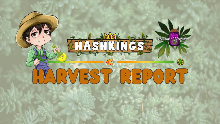 Banner HK Harvest 4.png