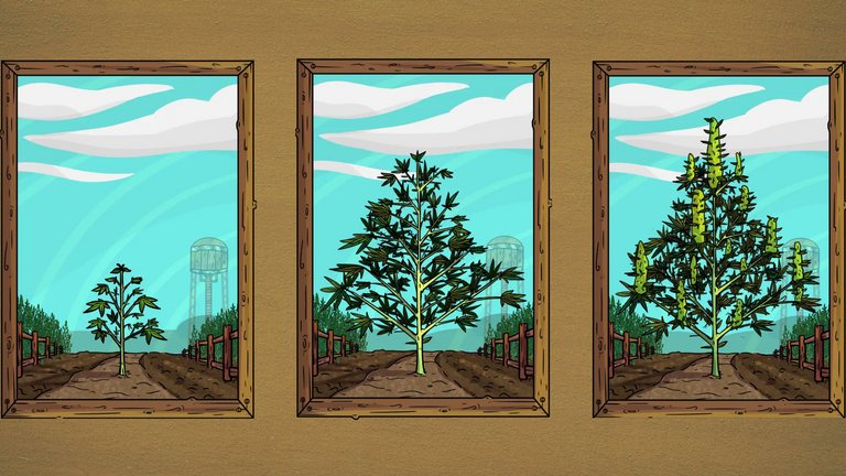 HK plants.png
