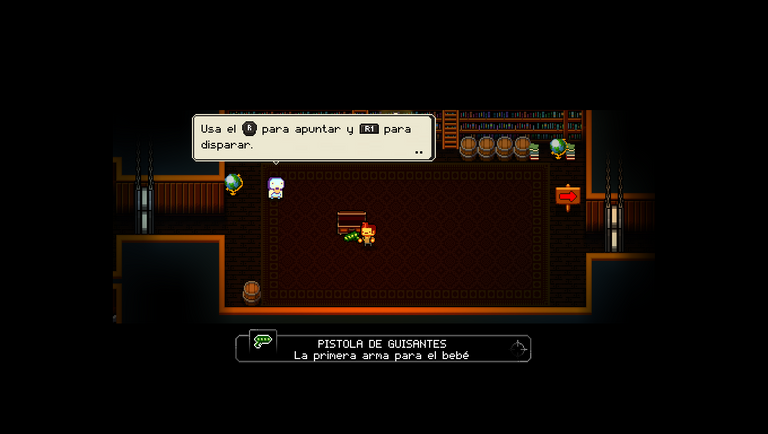 Enter the Gungeon 2_10_2022 10_36_07 a. m..png