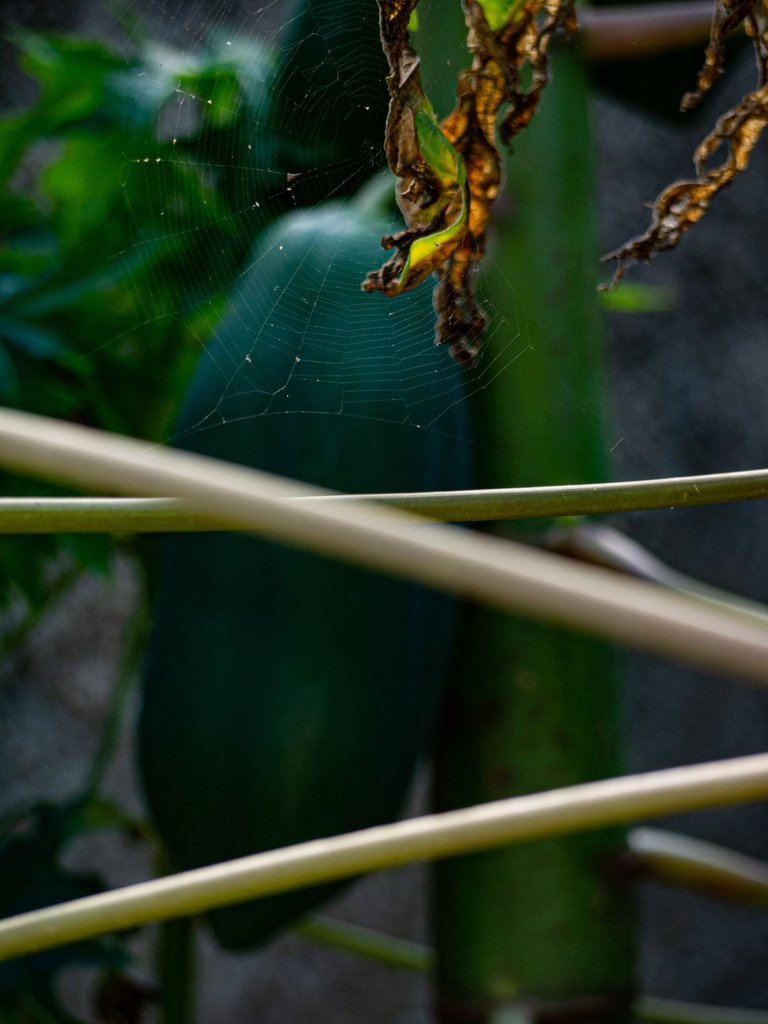 _1340225.JPG