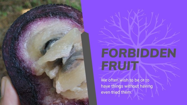 canva-forbidden fruit.jpg