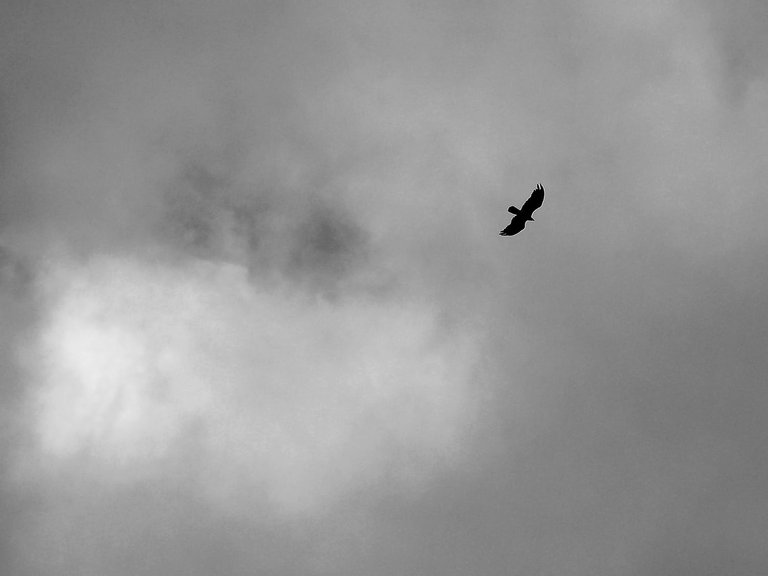 cielo2.jpg