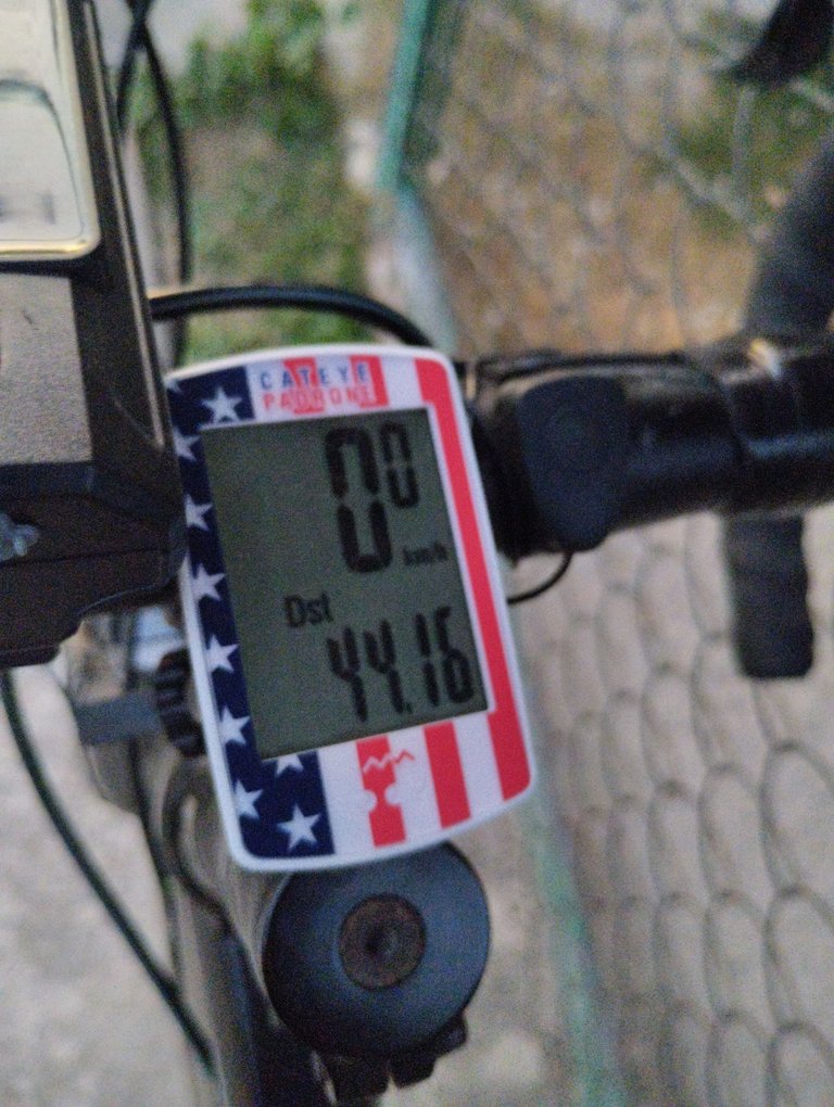 1000397335.jpg