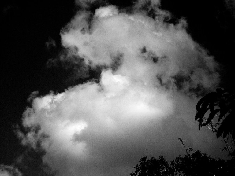 cielo3.jpg