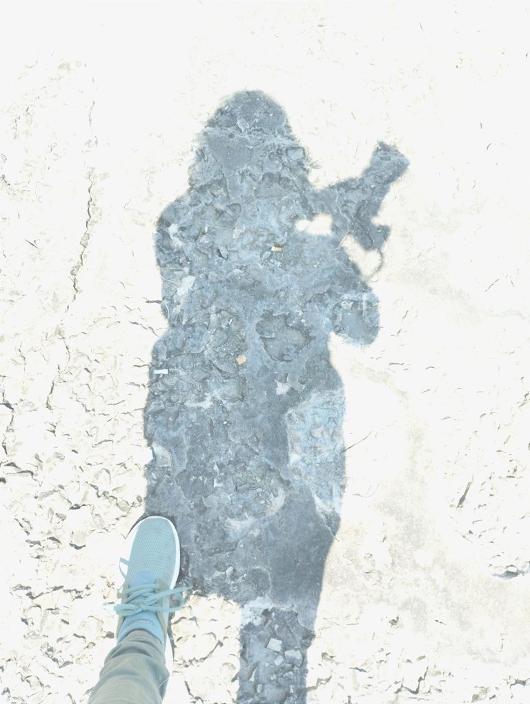 1694066838395.jpg