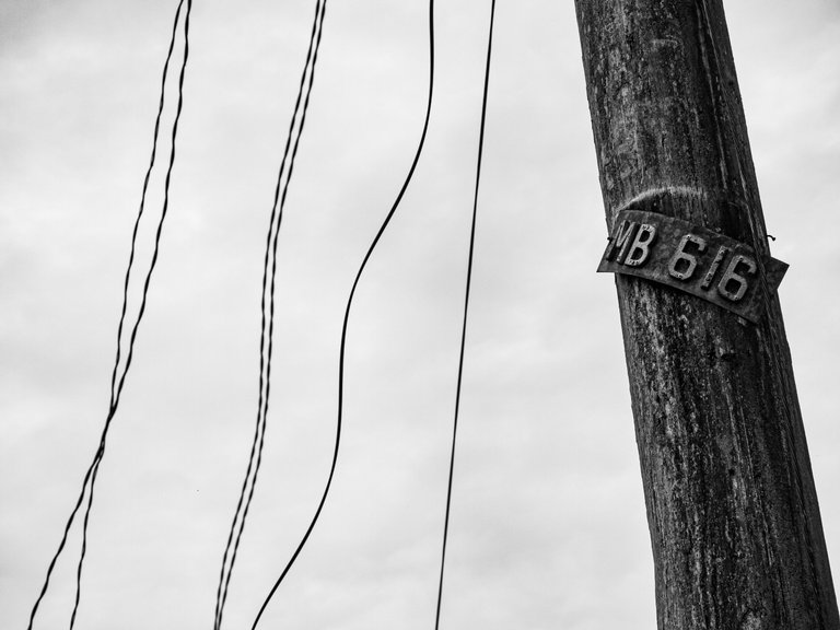 _1360942.JPG