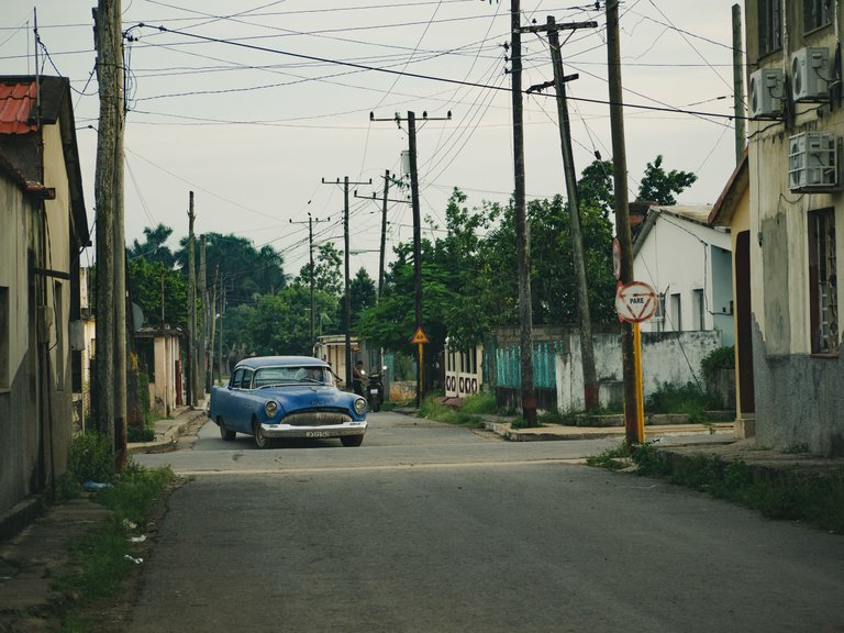 _1370295.JPG