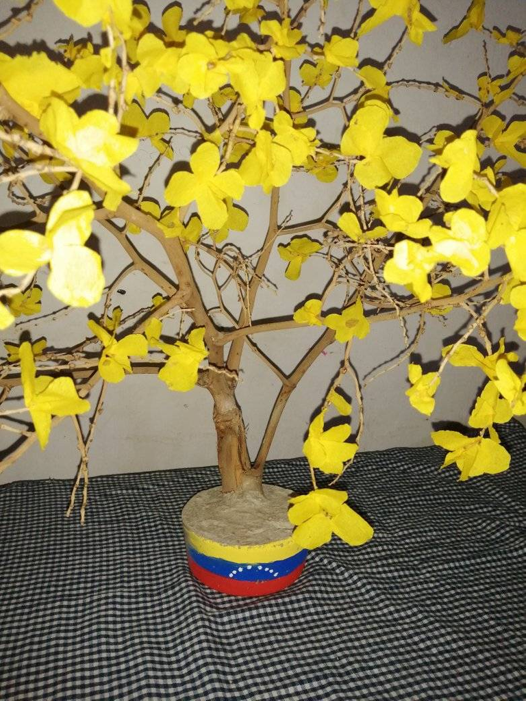 Un Hermoso Araguaney: Árbol emblemático de Venezuela // A Beautiful  Araguaney: Venezuela's Emblematic Tree — Hive