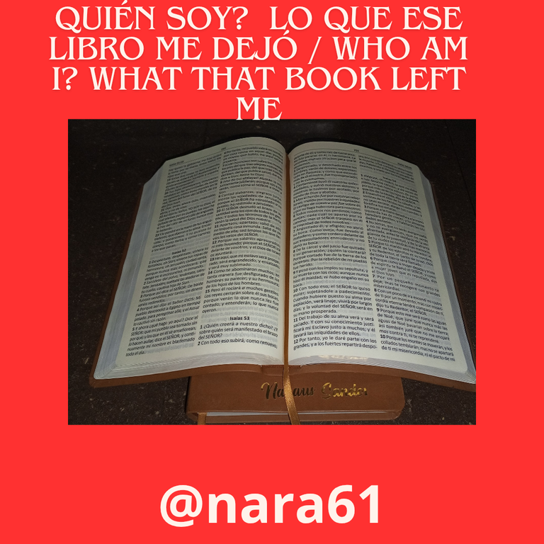 Post instagram lenceria flores_20250327_231847_0000.png