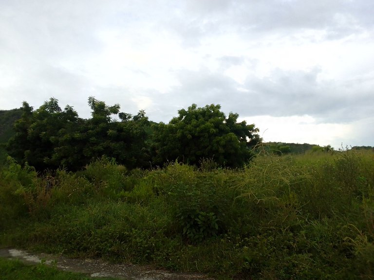 IMG_20230805_182125_275.jpg