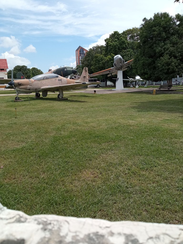 IMG_20221008_122447.jpg