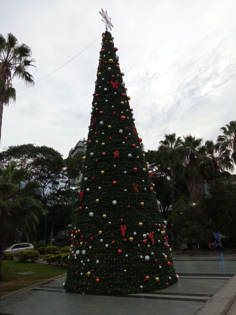IMG_20221024_062826.jpg