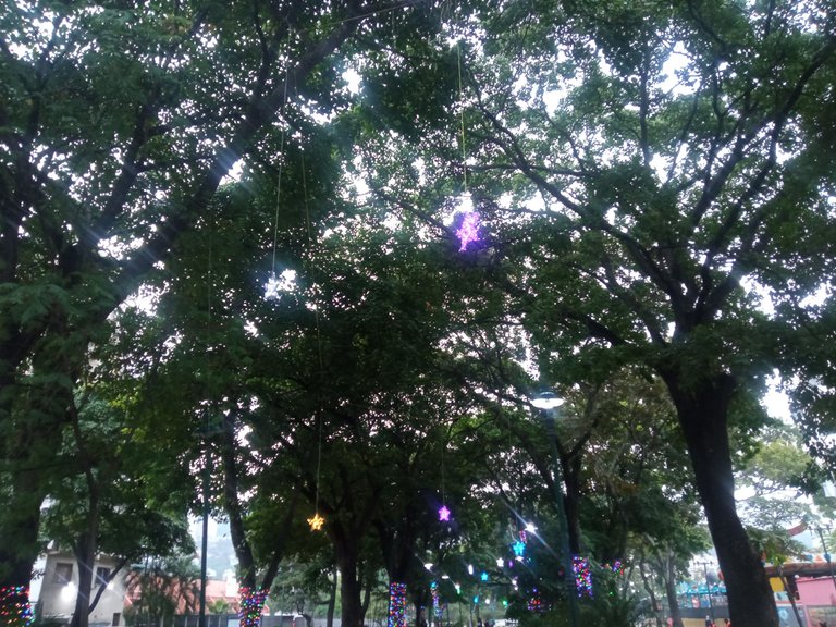 IMG_20221024_063119.jpg