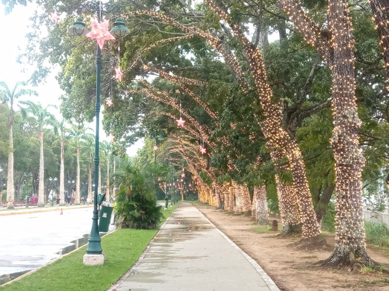 IMG_20221024_064802.jpg