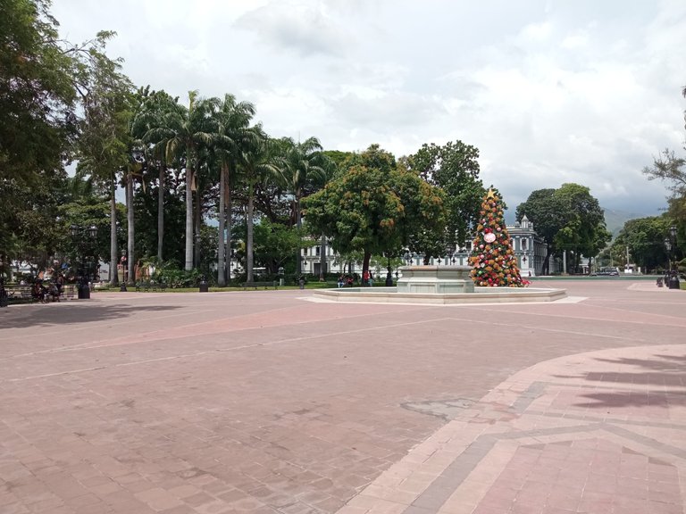 IMG_20221008_123514.jpg