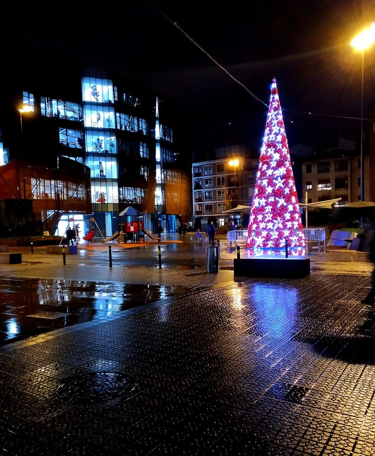 InShot_20211215_165500919.jpg