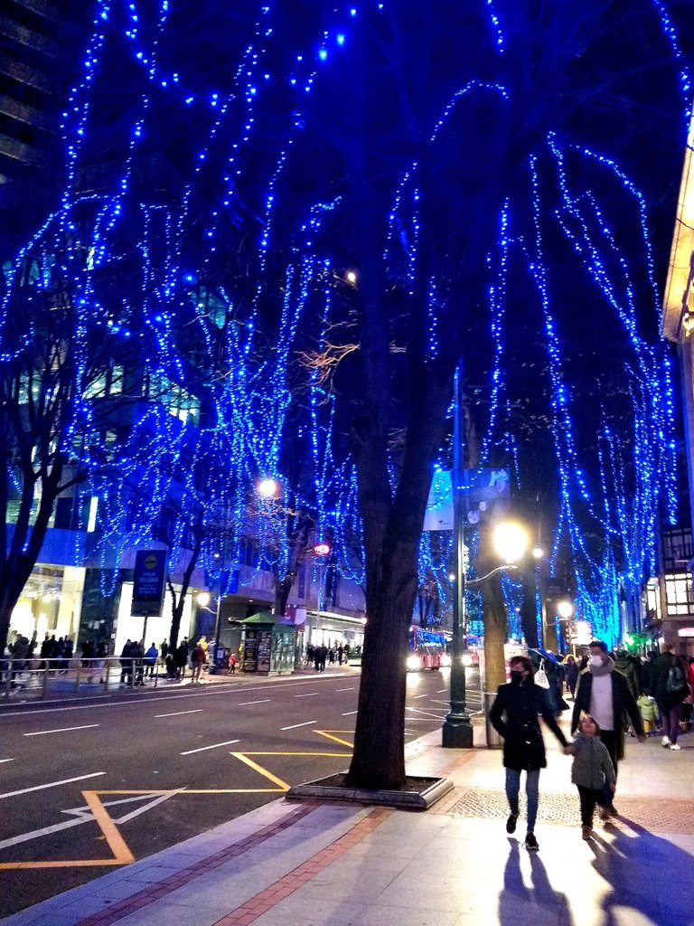 InShot_20211215_224835558.jpg
