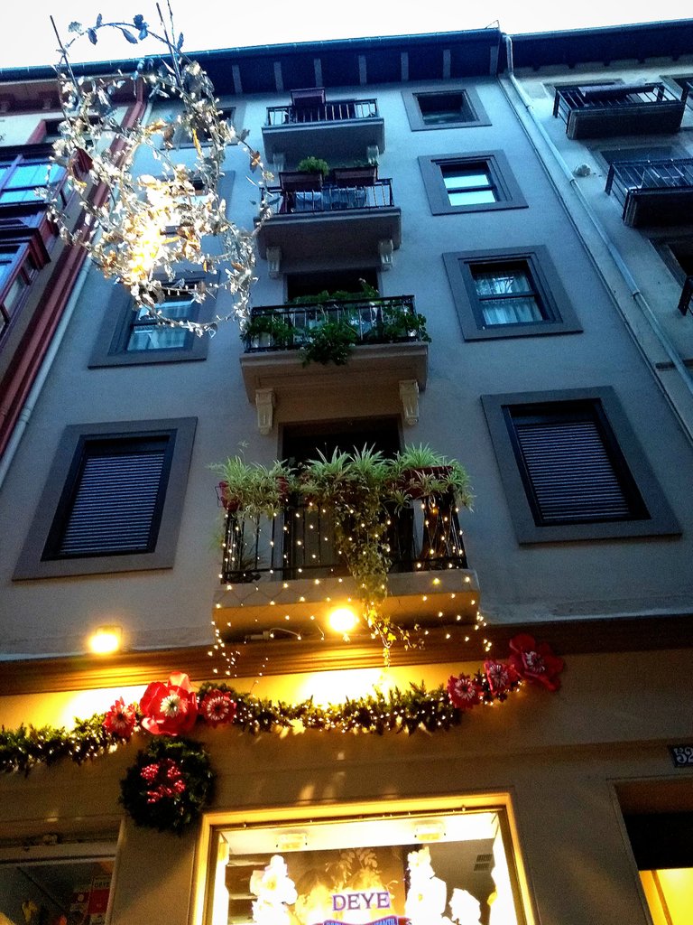 InShot_20211215_162513361.jpg