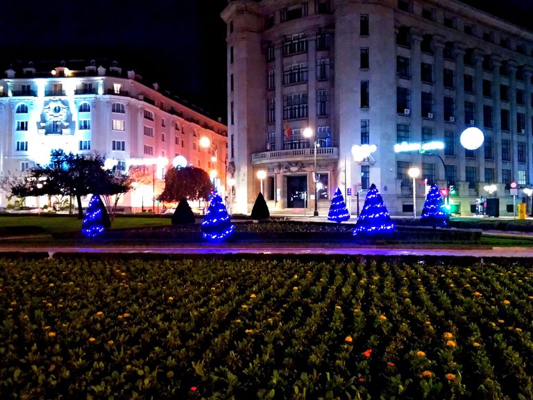 InShot_20211215_155719027.jpg
