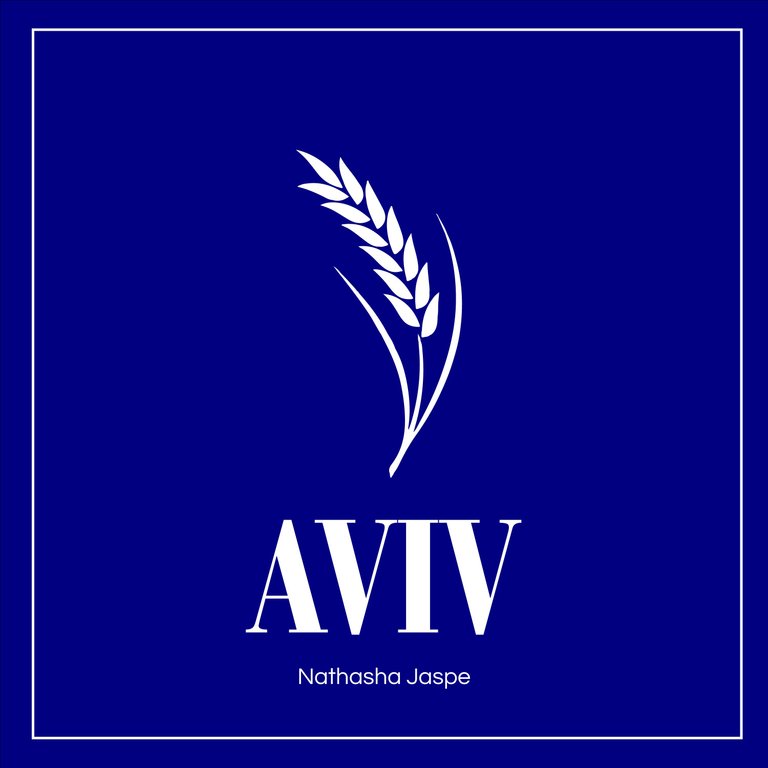AVIV.jpg