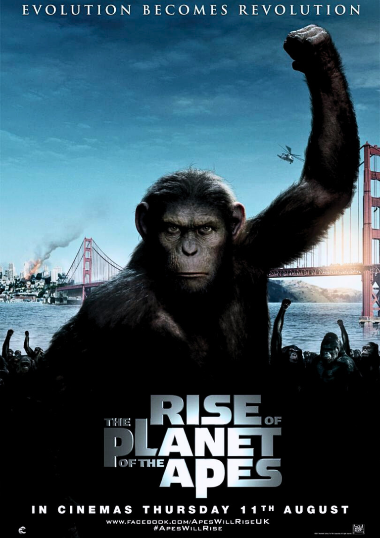Diseño sin título_20250822_202812_0000.png