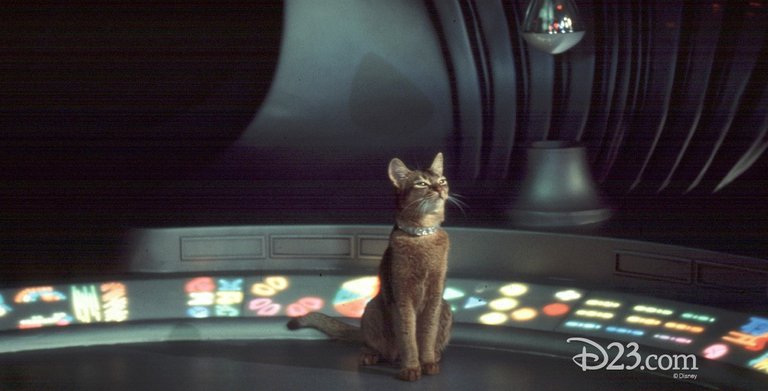 cat-from-outer-space-the-1180w-600h-1180x600.jpg