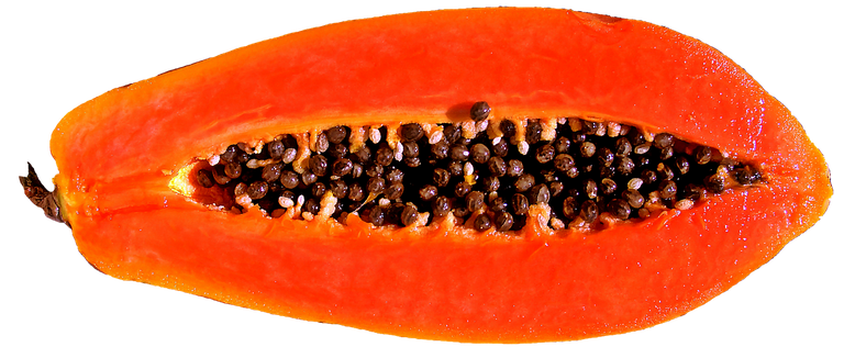 fruit653553_1280.png