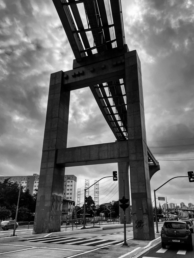 IMG_3082.jpg