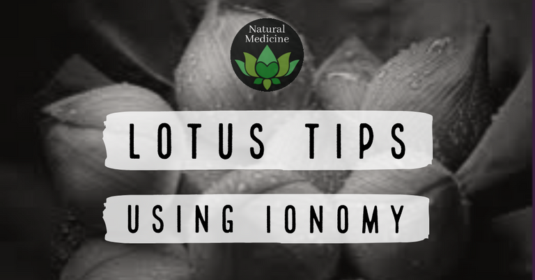 Lotus tips using ionomy.png